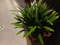 -眉州东坡(北苑华贸店)