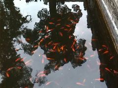 android_upload_pic-碧云寺