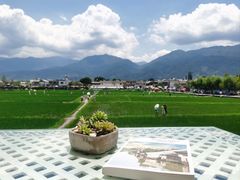 -喜林苑·稻田餐厅(品相府店)