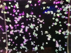 -欢乐海岸海洋奇梦馆