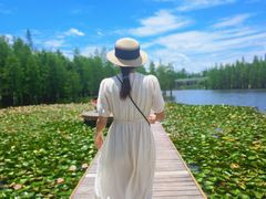 -白鹭湾湿地公园