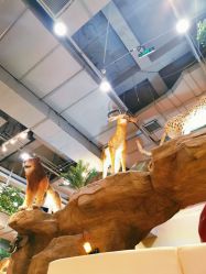 -鲁比猴非洲探索部落(喜盈门店)