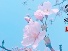 -堤角公园