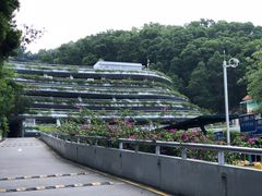 -深圳仙湖植物园-停车场