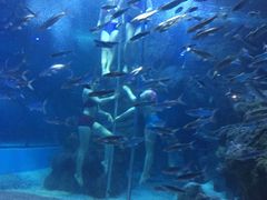 -左海海底世界