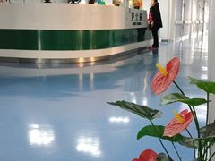 -湖北省中医院(光谷院区)