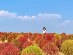 -径山花海