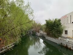 -溱湖国家湿地公园