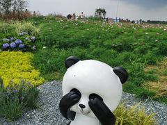 -空港花田景区