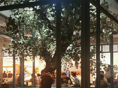 -大树餐厅(大悦城店)