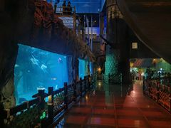 -华夏文旅海洋公园