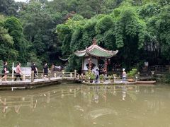 -黔灵山公园