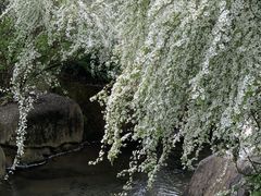 -中国茶叶博物馆(双峰馆区)