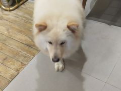 -肆兮眼镜·蔡司·徕卡战略合作店(大坪店)