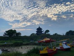 -上海海湾国家森林公园