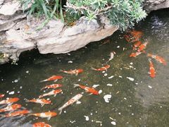 -顺德渔村·岭南一号