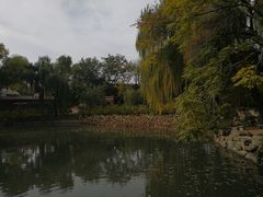 -北京动物园-畅观楼