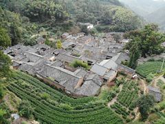 -杨家堂村