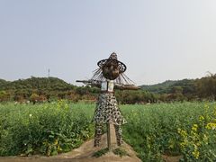 -红山村