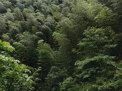 -浙北大峡谷