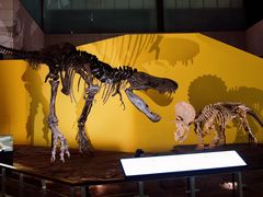 -湖南省地质博物馆