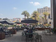 -Torch Coffee 炬点咖啡