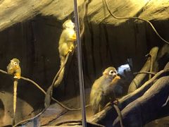 -哈尔滨波塞冬海底世界