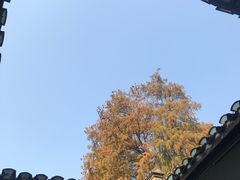 -毛泽东同志旧居