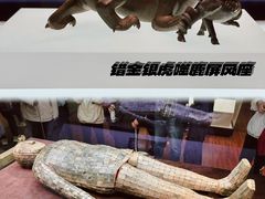 -河北博物院