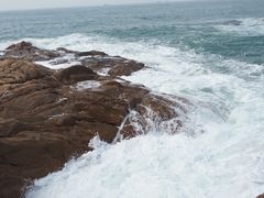 -广东惠东海龟国家级自然保护区