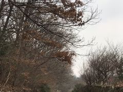 -钟山体育运动公园