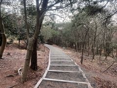 -南京市无想山景区