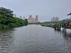 -前关湿地公园