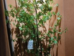 -泰·菩提树下[泰式按摩x精油SPAx肩颈头疗](新景店)