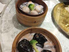 -海联潮港城