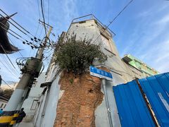 -上海城隍庙福佑门小商品批发市场