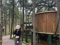 -洛阳白云山景区