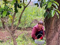 -星巴克(绍兴柯桥柯岩景区店)