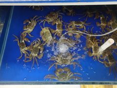 -阳澄湖大闸蟹·琼灵阁牌品牌连锁(吴中总店)