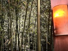 -青城山六善酒店·紫氣園中餐厅