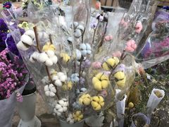 -三圣花乡旅游区