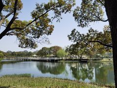 -新江湾城公园
