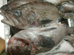 -三乐海鲜水饺馆