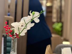 -珍宝海鲜JUMBO Seafood(ifc店)