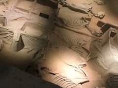 -洛阳周王城天子驾六博物馆