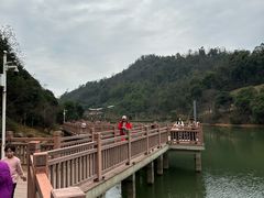 -桃花岭景区