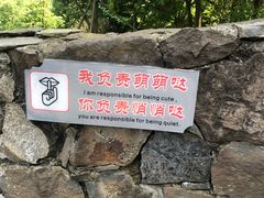 -都江堰中华大熊猫苑