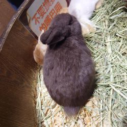 -Zoolung Zoolung动物主题公园(海信广场店)