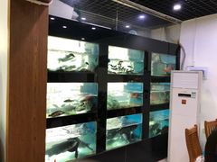 水产区-全乐鱼馆·淳牌有机鱼直营店