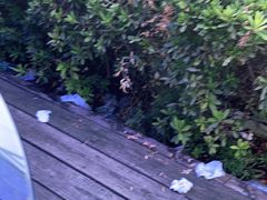 -天和楼·精致太湖酒家(太湖店)